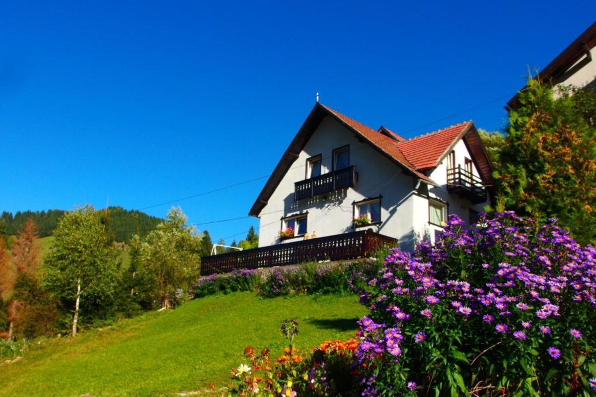 Casa Victoria Hotel Moeciu De Sus Exterior foto