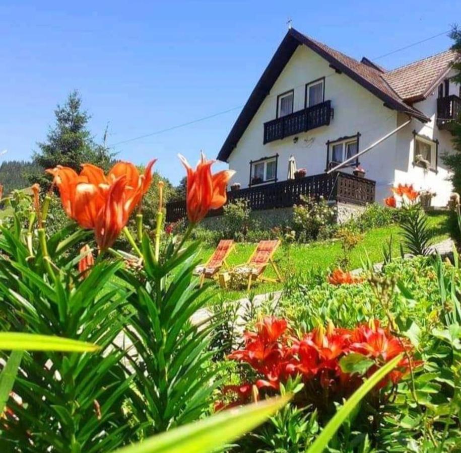 Casa Victoria Hotel Moeciu De Sus Cameră foto